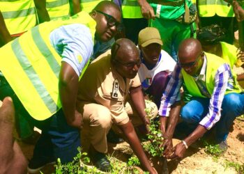 Vélingara/Anambé : Le GIE Agro Beydaaré Sénégal, met six mille plants de l’Acasia mélliféra supplémentaires au secteur G.