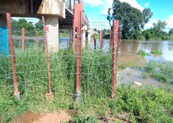 Tamba/Gouloumbou: Alerte de débordement du fleuve Gambie/La côte d’alerte dépassée/ Les bananeraies menacées