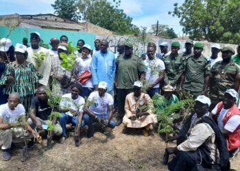 Tambacounda : «Un acteurs culturel, un arbre», le concept lancé pour la sauvegarde d’espèces locales menacées