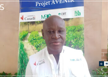 Tamba: Le baobab « peut changer des vies » (expert)