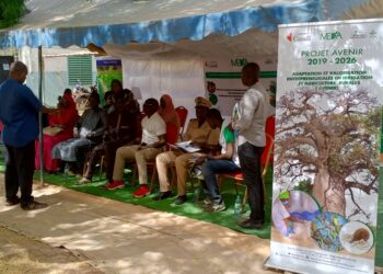 Tamba : Distribution de kits horticoles/ MEDA à travers son projet AVENIR et son partenaire Séye Agrobusiness en croisade contre la pauvreté