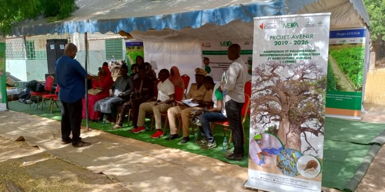 Tamba : Distribution de kits horticoles/ MEDA à travers son projet AVENIR et son partenaire Séye Agrobusiness en croisade contre la pauvreté