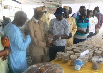 Tamba/Koussanar : Journée départementale du fonio/ La Fédération Yakaar Niani Wulli et ses partenaires, pour la revalorisation de la filière