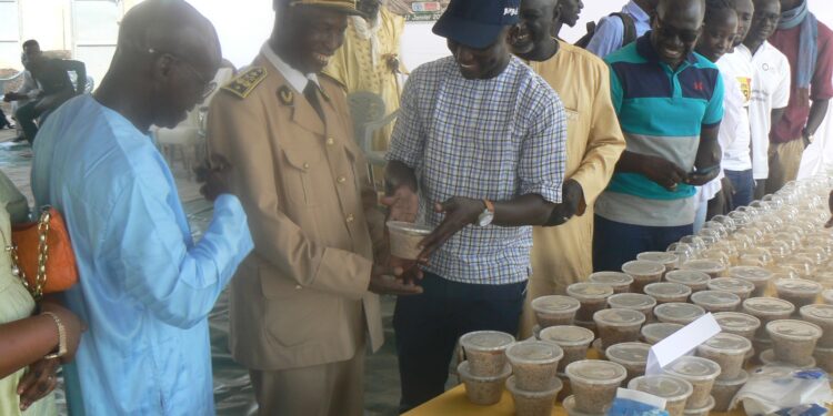 Tamba/Koussanar : Journée départementale du fonio/ La Fédération Yakaar Niani Wulli et ses partenaires, pour la revalorisation de la filière
