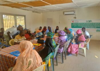 Goudiry: Projet AVENIR-MEDA-Am Bé Koun Solidarité/ Les bénéficiaires en session de renforcement de capacités en leadership adapté au changement climatique et en droits humains.
