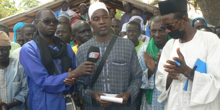 Tambacounda: Les producteurs de coton tirent sur la SODEFITEX/ »Nous allons boycotter la culture du coton si… »[Reportage Vidéo]