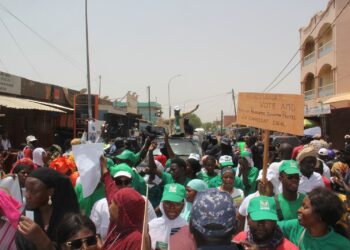 Tambacounda : Le Candidat Aliou Mamadou Dia, interpelé par le COSEF, promet des financements pour des AGR des femmes [Vidéo]