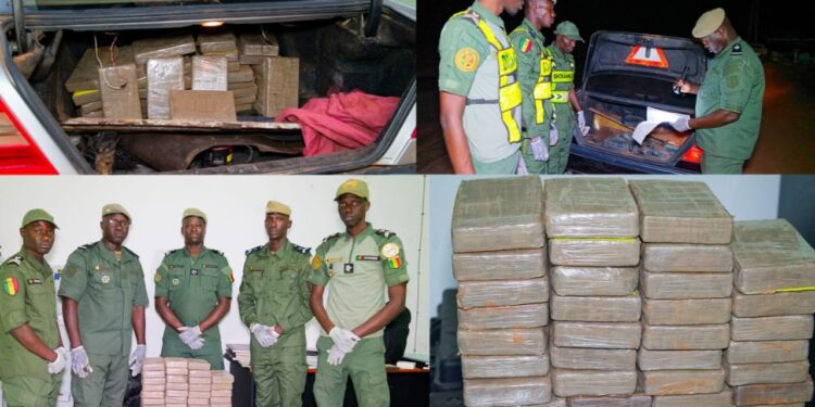 Koumpentoum : 91,84 kg de cocaïne de plus de 7 milliards de francs CFA , saisis par la douane