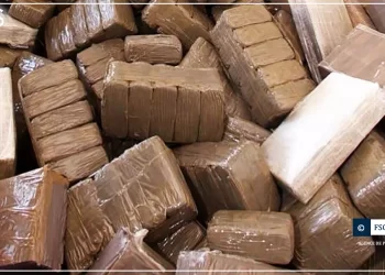 Kidira : saisie record de 1 137,6  kg de cocaïne par la douane