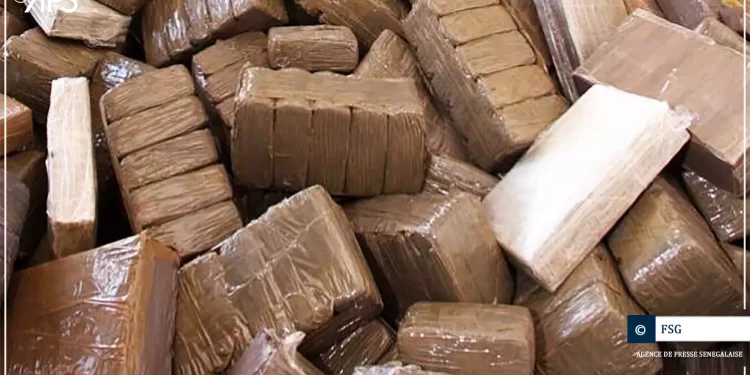 Kidira : saisie record de 1 137,6 kg de cocaïne par la douane