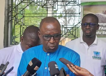 Campagne agricole 2023 : [Vidéo] Le PADAER 2 et la CNAAS indemnisent des organisations de producteurs.