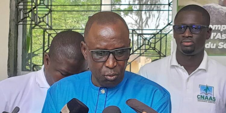 Campagne agricole 2023 : [Vidéo] Le PADAER 2 et la CNAAS indemnisent des organisations de producteurs.