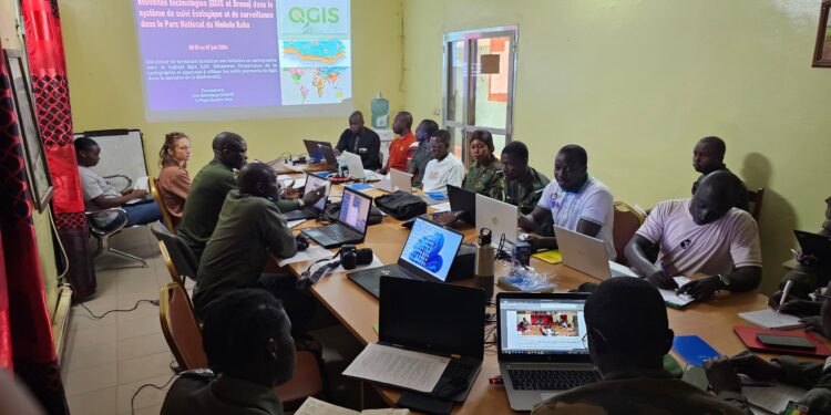 Tambacounda : ULB-C/Des agents du Parc National de Niokolo Koba et d’autres services, outillés sur l’application des nouvelles technologies (QGIS et drone) dans le suivi écologique