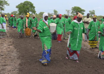 Tambacounda : Le Réseau FAR (Formation Agricole Rurale) International et ISETA lancent le projet de formation insertion pour 100 femmes dans la culture et la transformation de fonio
