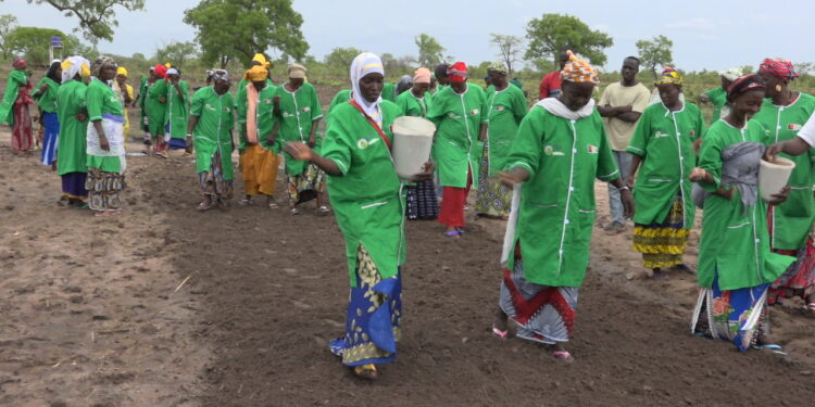Tambacounda : Le Réseau FAR (Formation Agricole Rurale) International et ISETA lancent le projet de formation insertion pour 100 femmes dans la culture et la transformation de fonio