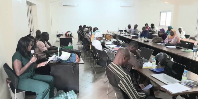 Tambacounda : ONG MEDA et CARITAS/ Les activités de la plateforme multi-acteurs sur le genre et l’inclusion, P-GESI, lancées