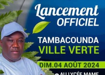 Campagne de reboisement 2024 : Le Maire Papa Banda Diéye lance l’opération Tambacounda ville verte