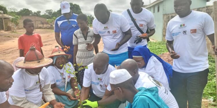 Tambacounda: Journée Nationale de l&rsquo;arbre: SYDEP AFRIQUE/SOS villages d&rsquo;enfants plantent plusieurs arbres à Daybatou