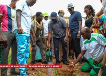 Journée nationale de l&rsquo;arbre : Le Maire Papa Banda Dièye lance le programme « Tambacounda ville verte »
