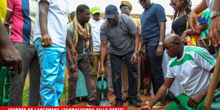 Journée nationale de l&rsquo;arbre : Le Maire Papa Banda Dièye lance le programme « Tambacounda ville verte »