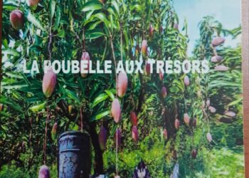 Tambacounda : La maison d’édition GAS-KOU publie « La poubelle aux trésors » de BONIFACE TONYE