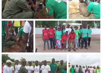 Goudiry : Journée de reboisement/Plus de 250 arbres plantés par SYDEP AFRIQUE en partenariat avec le Conseil municipal, le Conseil départemental, l’armée, l’IREF…
