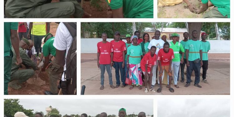 Goudiry : Journée de reboisement/Plus de 250 arbres plantés par SYDEP AFRIQUE en partenariat avec le Conseil municipal, le Conseil départemental, l’armée, l’IREF…