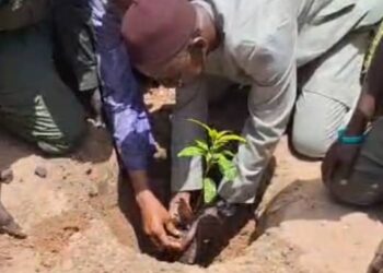 Ndoga Babacar : Le Maire Oumar Déme, soutenu par Enda Pronat, lance la campagne de reboisement dans sa commune