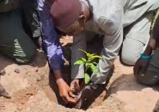 Ndoga Babacar : Le Maire Oumar Déme, soutenu par Enda Pronat, lance la campagne de reboisement dans sa commune