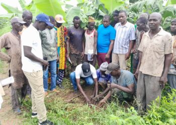Tambacounda : Le Projet Tiers Sud Bey Daare au chevet des producteurs (sinistrés) de banane