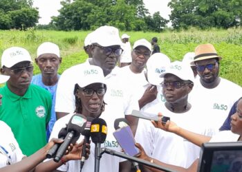 Tambacounda/Sinthiou Maléme: Pré-programmation scientifique 2024/Visite du parc agricole de l&rsquo;Institut Sénégalaise de Recherche Agricole (ISRA)