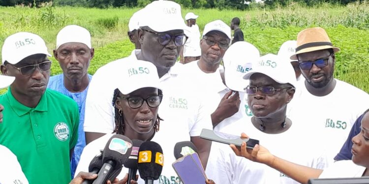 Tambacounda/Sinthiou Maléme: Pré-programmation scientifique 2024/Visite du parc agricole de l&rsquo;Institut Sénégalaise de Recherche Agricole (ISRA)