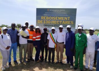 Bakel : Reboisement/La fondation Endeavour Mining et l’ASERGMV intensifient leurs efforts pour la reforestation et le développement communautaire