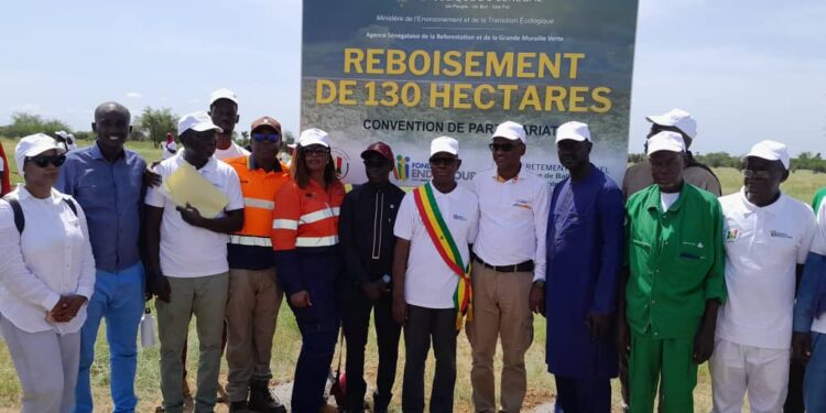 Bakel : Reboisement/La fondation Endeavour Mining et l’ASERGMV intensifient leurs efforts pour la reforestation et le développement communautaire