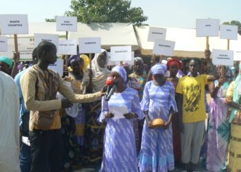 Tamba : TOSTAN/Déclaration zonale d’abandon de l’excision et des mariages d’enfants/ 29 communautés de la commune de Dialacoto s’engagent à renoncer à la pratique