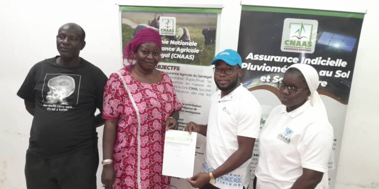 Tambacounda : Assurance agricole/La CNAAS indemnise les producteurs sinistrés à hauteur de plus de 10 millions de francs Cfa