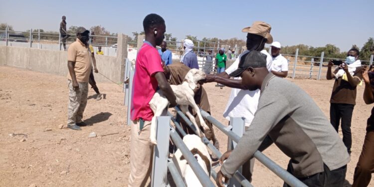 Koumpentoum : Le PRAPS 2 réalise 3 parcs de vaccination du bétail à hauteur 33 millions de franc cfa