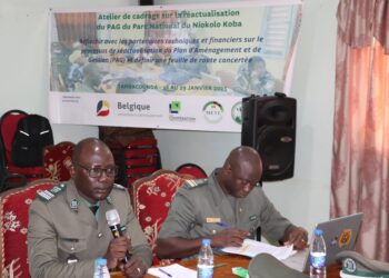Tambacounda : Conclave des acteurs pour l’actualisation du Plan d’Aménagement et de Gestion (PAG) du Parc National du Niokolo-Koba (PNNK)