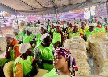 Koumpentoum : Des femmes et jeunes à l’école du processus de transformation du sel