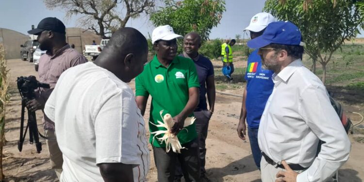 PROJET TIERS SUD BEY DAARE : Tournée de la mission de l’Union Européenne dans les départements de Tambacounda et de Vélingara