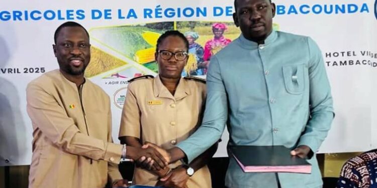 Tambacounda : Signature de convention/L’ADL et la SODAGRI ambitionnent de valoriser les produits agricoles