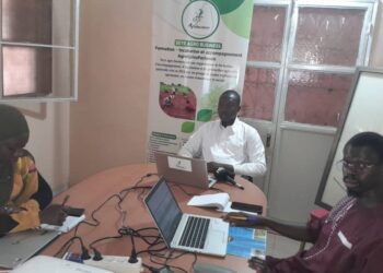 Tambacounda : [Vidéo] le GIE Seye agrobusiness pour la résilience des communautés