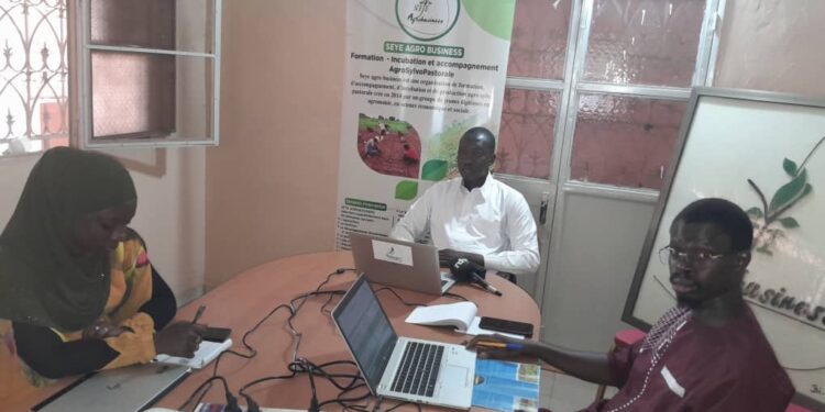 Tambacounda : [Vidéo] le GIE Seye agrobusiness pour la résilience des communautés