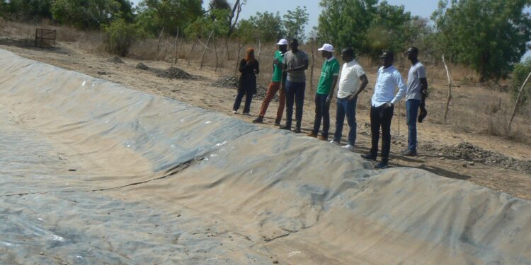 Tambacounda : Séye agro business et la Coopération allemande GIZ, au chevet des pêcheurs de Gouloumbou pour la relance des activités piscicoles