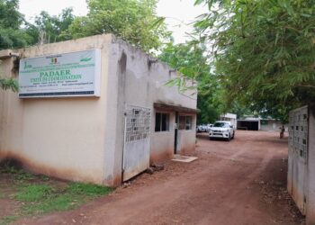 PADAER II : Appel à manifestation d’intérêt à l’attention des organisations professionnelles et des opérateurs porteurs d’initiatives économiques au profit de jeunes ruraux