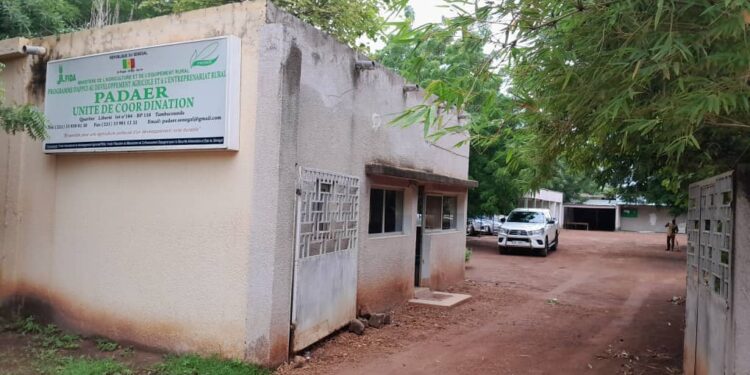 PADAER II : Appel à manifestation d’intérêt à l’attention des organisations professionnelles et des opérateurs porteurs d’initiatives économiques au profit de jeunes ruraux