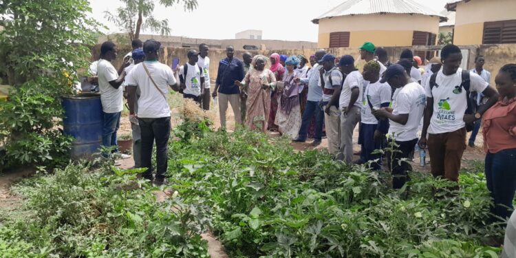Tambacounda : 3e édition caravane DyTAES/Pour la promotion de l’agroécologie