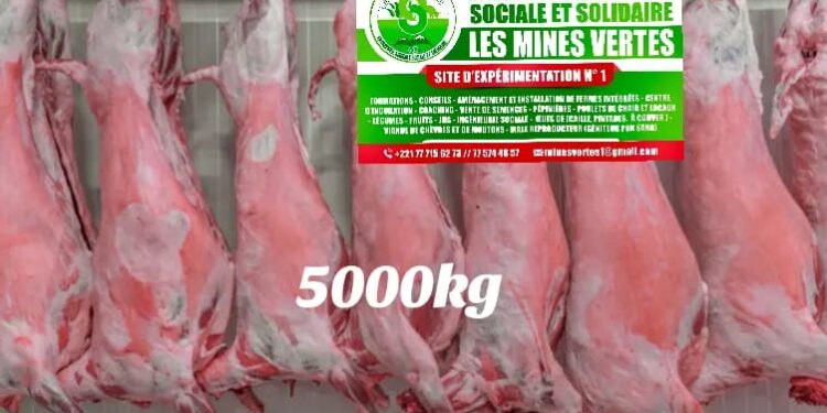 Pub/Les Mines Vertes de Tambacounda [Vidéo]