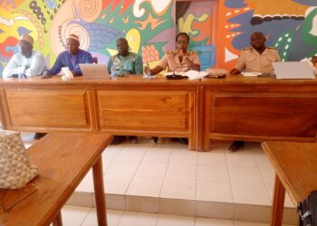 Koumpentoum : Projet régional d’accès à l’électricité/Le Niani abrite l’audience publique de l’Étude d’Impact Environnemental et Social