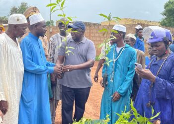 Tambacounda : le maire encourage les habitants de la ville à souvent planter des arbres
